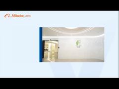 PureStyle 100ml Hair Color Developer Cream Wholesale 6% 9% 12%